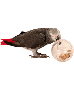 Buffet Party Ball Creative Foraging Toy for Parrots